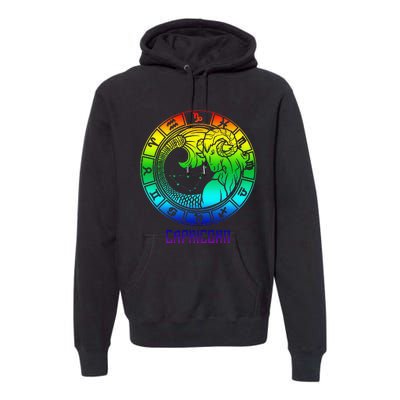 Capricorn Zodiac Sign Rainbow December January Birthday Premium Hoodie