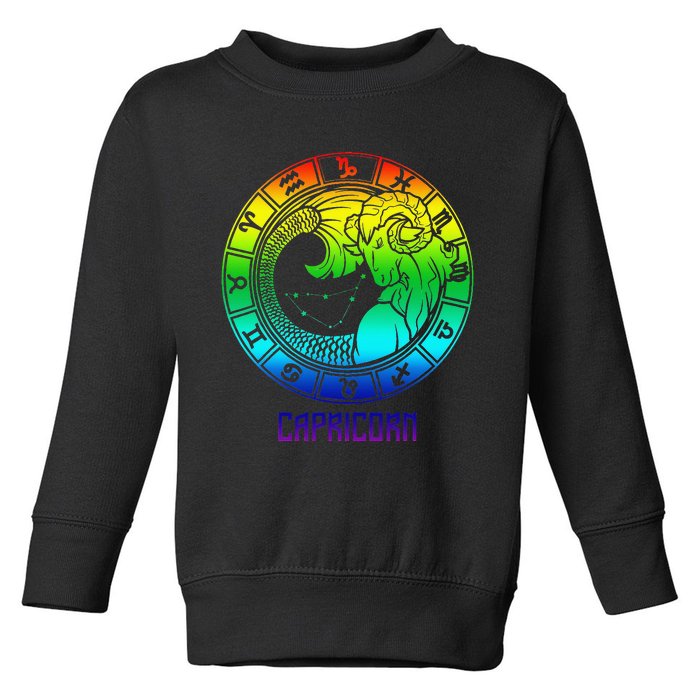 Capricorn Zodiac Sign Rainbow December January Birthday Toddler Sweatshirt