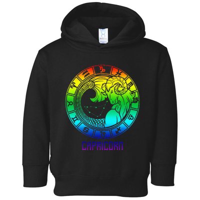 Capricorn Zodiac Sign Rainbow December January Birthday Toddler Hoodie