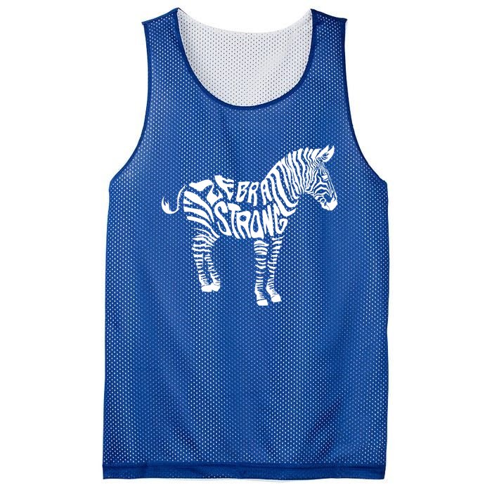 Cute Zebra Strong Ehlers Danlos Syndrome Awareness Gift Mesh Reversible Basketball Jersey Tank