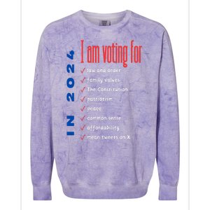 Decision 2024 Colorblast Crewneck Sweatshirt