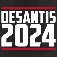 DeSantis 2024 Election Hat