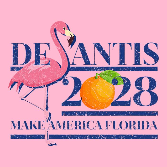 Desantis 2028 Make America Florida Ron Desantis 48 Long Sleeve Shirt