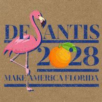 Desantis 2028 Make America Florida Ron Desantis 48 Flamingo Cotton Canvas Backpack