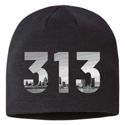 Detroit 313 Area Code Skyline Michigan Vintage Sustainable Beanie