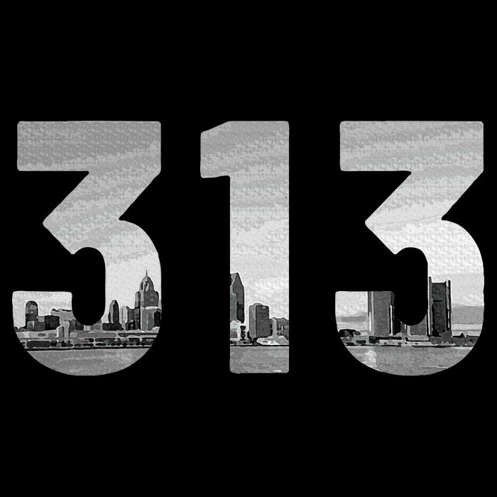Detroit 313 Area Code Skyline Michigan Vintage Toddler T-Shirt