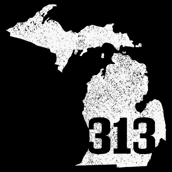 Detroit 313 Area Code Michigan Map State Pride Vintage Flatbill Hat