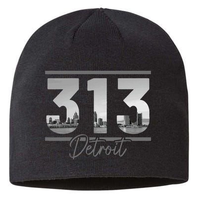 Detroit 313 Area Code Skyline Michigan Vintage Sustainable Beanie