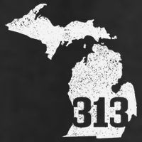 Detroit 313 Area Code Michigan Map State Pride Vintage Golf Towel