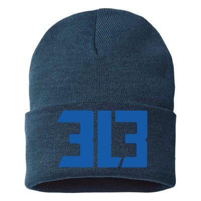 Detroit 313 Sustainable Knit Beanie