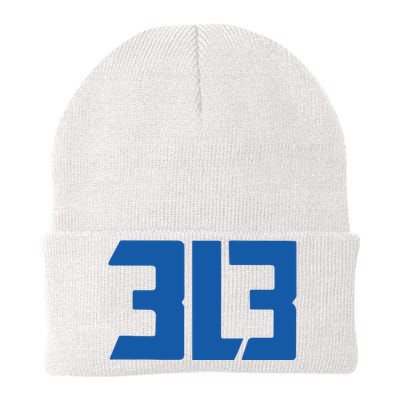 Detroit 313 Knit Cap Winter Beanie