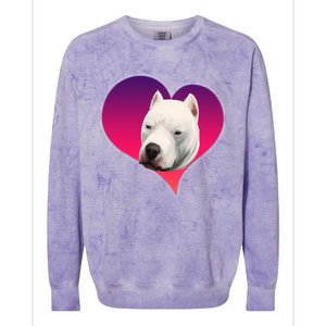 Dogs 365 Dogo Argentino Dog Pink Heart Love Gift Gift Colorblast Crewneck Sweatshirt