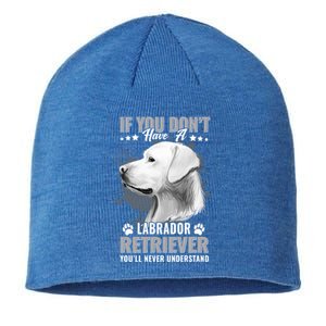 Dogs 365 Labrador Retriever You'll Never Understand Funny Gift Sustainable Beanie