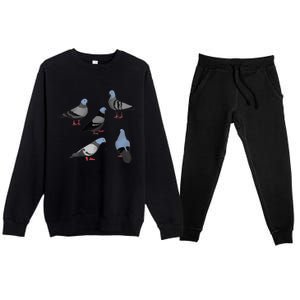 Design 33 The Pigeons Premium Crewneck Sweatsuit Set