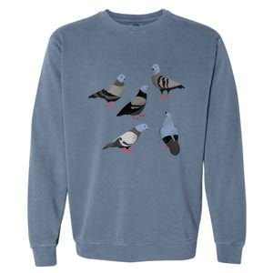 Design 33 The Pigeons Garment-Dyed Sweatshirt