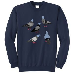 Design 33 The Pigeons Sweatshirt