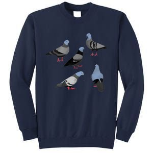 Design 33 The Pigeons Tall Sweatshirt