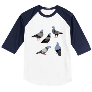 Design 33 The Pigeons Baseball Sleeve Shirt