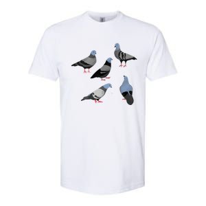 Design 33 The Pigeons Softstyle CVC T-Shirt