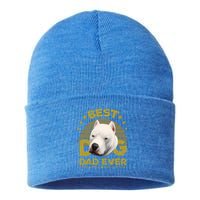 Dogs 365 Vintage Best Dogo Argentino Dad Ever Gift Gift Sustainable Knit Beanie