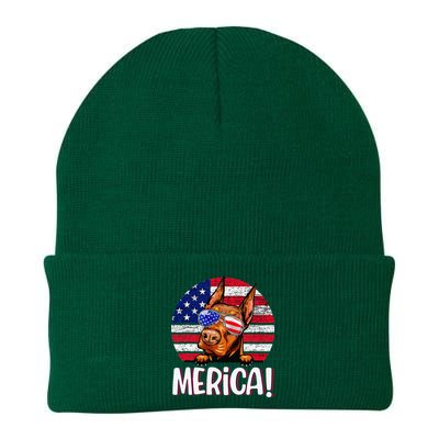 Doberman 4th Of July American Flag Dog Knit Cap Winter Beanie