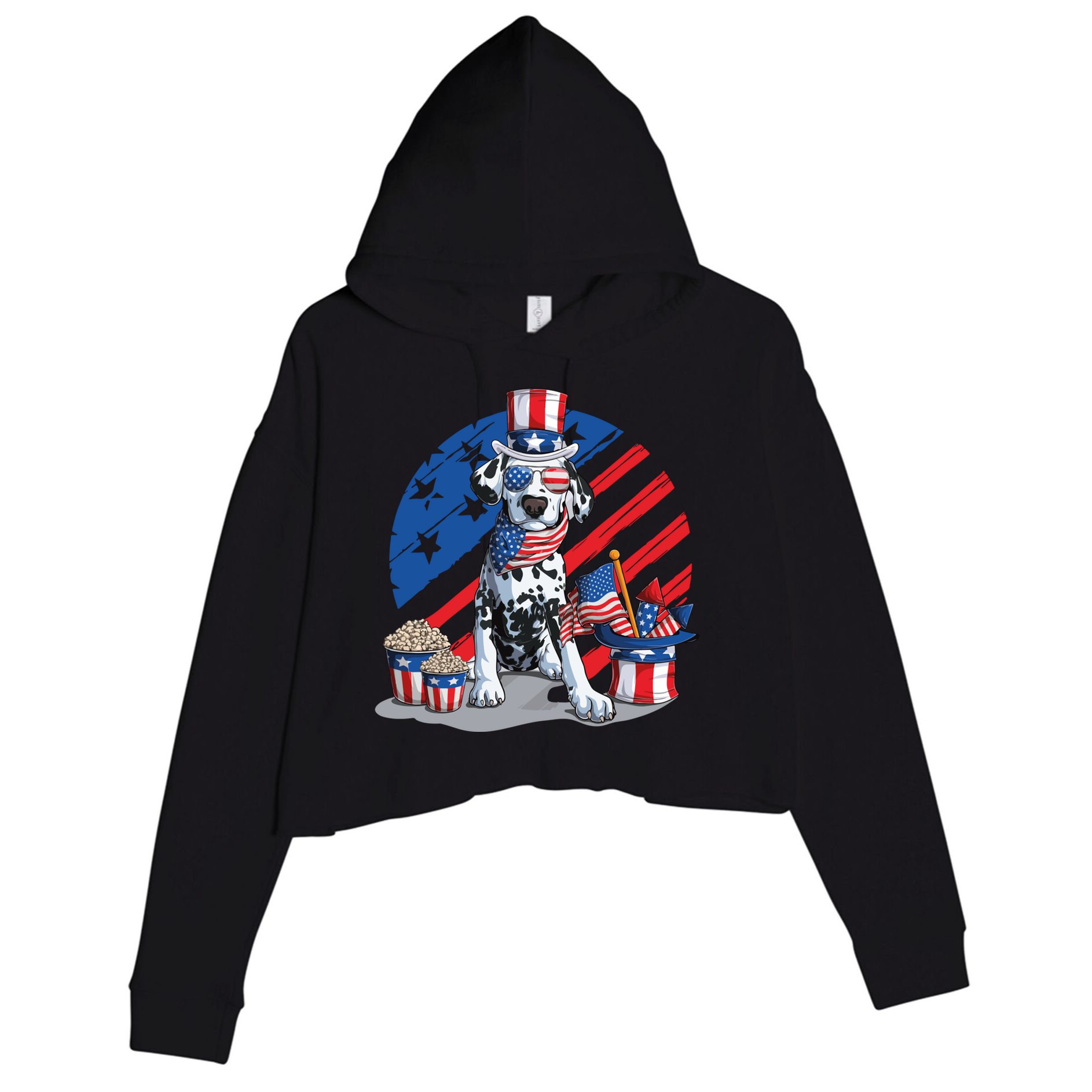 Dalmatian 4th Of July American Sunglasses Dog Puppy Usa Gift Crop Fleece Hoodie