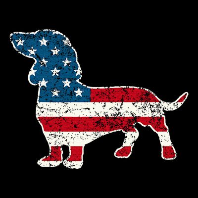 Dachshund 4th Of July American Flag Dog Lovers T-Shirt