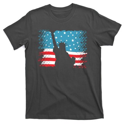 Distressed 4th Of July Liberty Flag T-Shirt