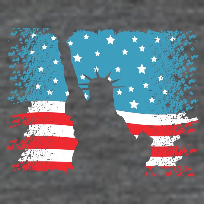 Distressed 4th Of July Liberty Flag Zip Tote Bag
