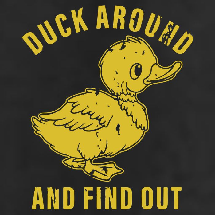 Duck Around And Find Out Hat