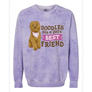 Doodles Are A Girls Best Friend Colorblast Crewneck Sweatshirt