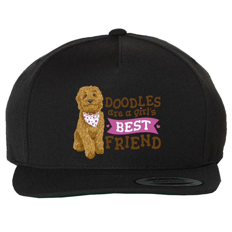 Doodles Are A Girls Best Friend Wool Snapback Cap