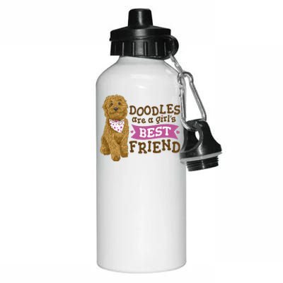 Doodles Are A Girls Best Friend Aluminum Water Bottle 