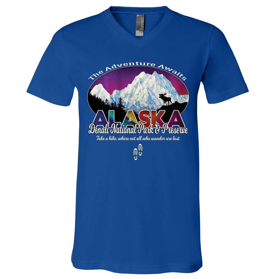 Denali Alaska Aurora Borealis National Park Hiker Souvenir Cute Gift V-Neck T-Shirt