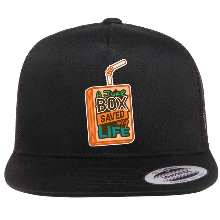 Diabetes Awareness A Juice Box Saved My Life Flat Bill Trucker Hat