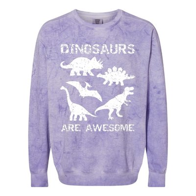 DINOSAURS ARE AWESOMEDINOSAURS ARE AWESOME Colorblast Crewneck Sweatshirt