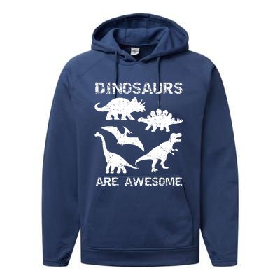 DINOSAURS ARE AWESOMEDINOSAURS ARE AWESOME Performance Fleece Hoodie