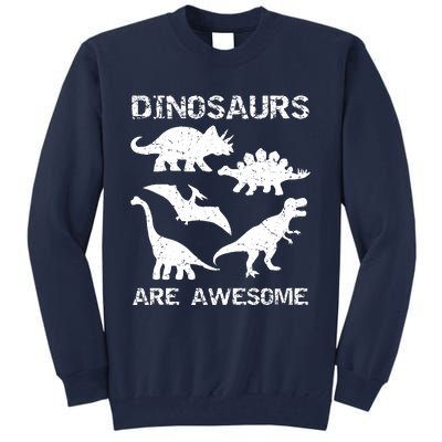 DINOSAURS ARE AWESOMEDINOSAURS ARE AWESOME Tall Sweatshirt