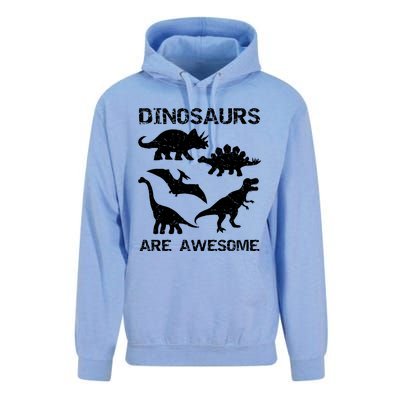 DINOSAURS ARE AWESOMEDINOSAURS ARE AWESOME Unisex Surf Hoodie