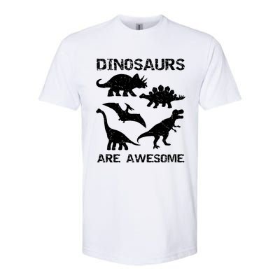 DINOSAURS ARE AWESOMEDINOSAURS ARE AWESOME Softstyle CVC T-Shirt