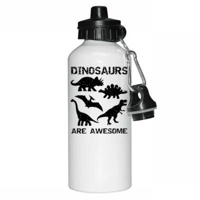 DINOSAURS ARE AWESOMEDINOSAURS ARE AWESOME Aluminum Water Bottle