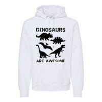 DINOSAURS ARE AWESOMEDINOSAURS ARE AWESOME Premium Hoodie