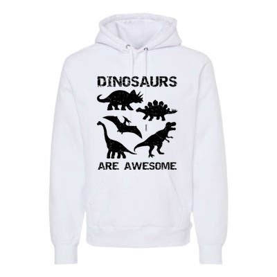 DINOSAURS ARE AWESOMEDINOSAURS ARE AWESOME Premium Hoodie