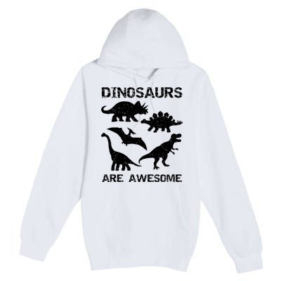 DINOSAURS ARE AWESOMEDINOSAURS ARE AWESOME Premium Pullover Hoodie