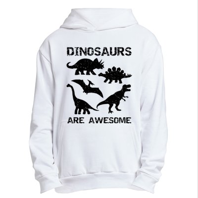 DINOSAURS ARE AWESOMEDINOSAURS ARE AWESOME Urban Pullover Hoodie