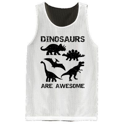 DINOSAURS ARE AWESOMEDINOSAURS ARE AWESOME Mesh Reversible Basketball Jersey Tank