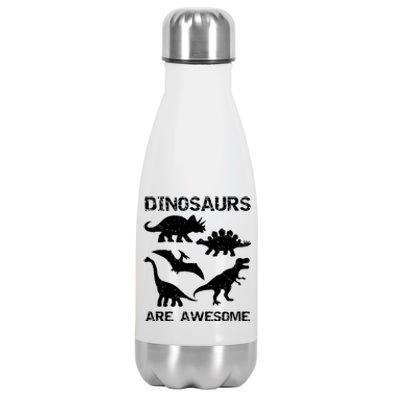 DINOSAURS ARE AWESOMEDINOSAURS ARE AWESOME Stainless Steel Insulated Water Bottle