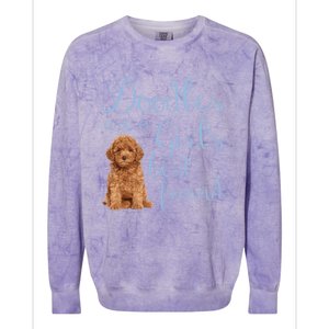 Doodles Are A S Best Friend Golden Labradoodle Dog Mom Gift Colorblast Crewneck Sweatshirt