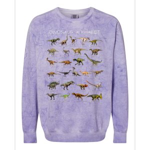 Dinosaur Alphabet Abc Dino Paleontology Educational Colorblast Crewneck Sweatshirt