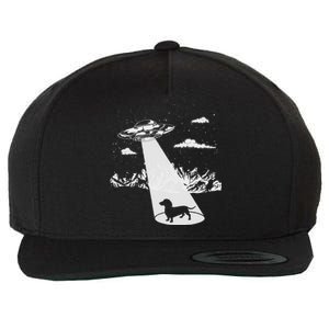 Dachshund Alien Abduction Weiner Dog Funny Wool Snapback Cap